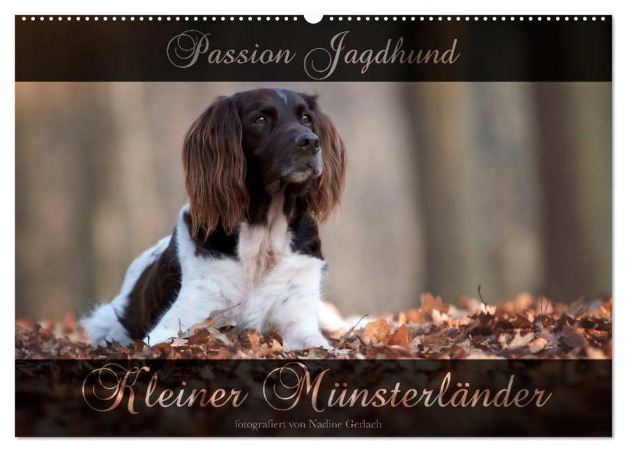 Passion Jagdhund - Kleiner Münsterländer (Wandkalender 2025 DIN A2 quer), CALVENDO Monatskalender - Nadine Gerlach