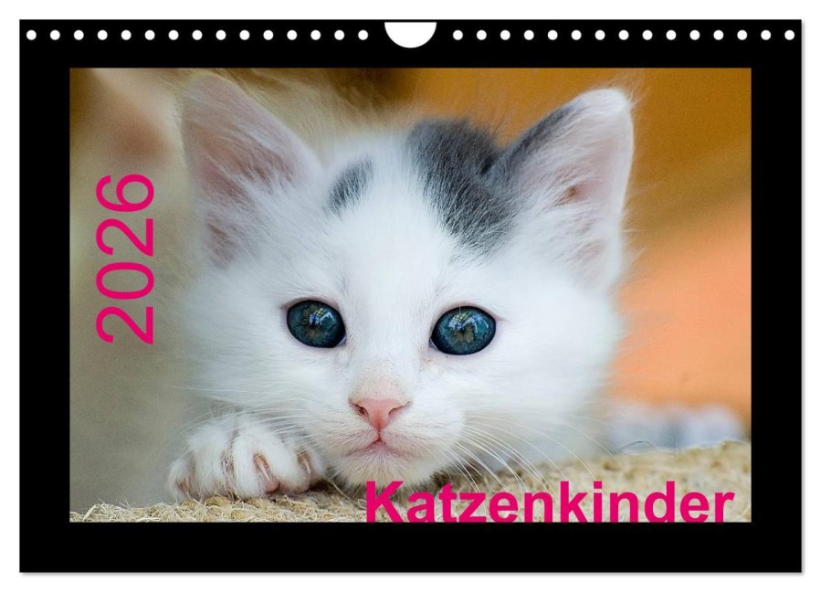 Katzenkinder (Wandkalender 2026 DIN A4 quer), CALVENDO Monatskalender - Michael Weirauch
