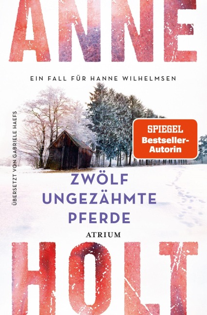 Zwölf ungezähmte Pferde - Anne Holt