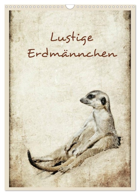 Lustige Erdmännchen (Wandkalender 2026 DIN A3 hoch), CALVENDO Monatskalender - Heike Hultsch