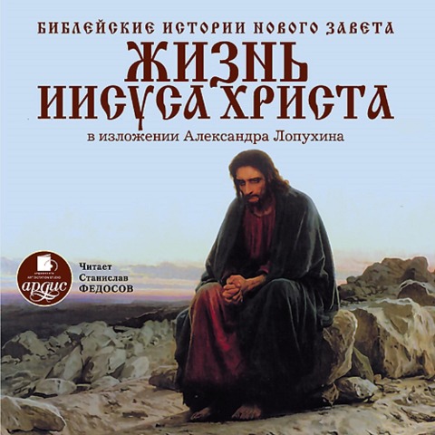 Biblejskie istorii Novogo Zaveta. ZHizn' Iisusa Hrista - Aleksandr Lopuhin