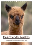 Cover-Bild zum Titel 'Gesichter der Alpakas - Unverwechselbare Charaktere und einzigartige Blicke (Wandkalender 2026 DIN A2 hoch), CALVENDO Monatskalender' von 'Nicolette Wollentin'