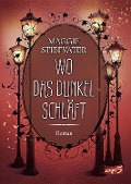 Cover-Bild zum Titel 'Wo das Dunkel schläft (Band 4)' von 'Maggie Stiefvater'