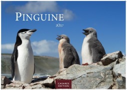 Cover-Bild zum Titel 'Pinguine Kalender 2027 - Wandkalender | Fotokalender Tierkalender 24x35cm | . mit niedlichen Pinguin-Motiven im antarktischen Lebensraum.' von ''
