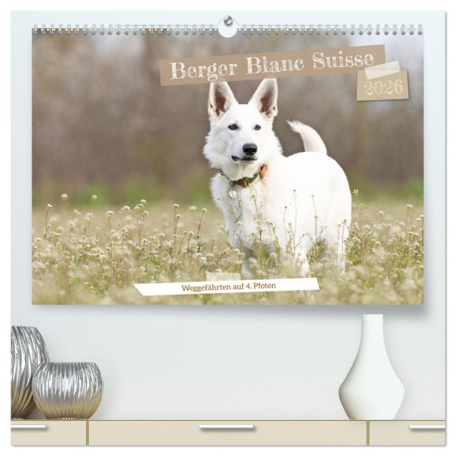 Berger Blanc Suisse - Weggefährten auf 4 Pfoten (hochwertiger Premium Wandkalender 2026 DIN A2 quer), Kunstdruck in Hochglanz - Andrea Potratz