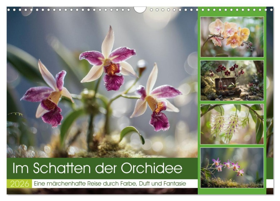 Im Schatten der Orchidee (Wandkalender 2026 DIN A3 quer), CALVENDO Monatskalender - Steffen Gierok-Latniak