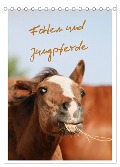 Fohlen und Jungpferde (Tischkalender 2025 DIN A5 hoch), CALVENDO Monatskalender - Barbara Mielewczyk
