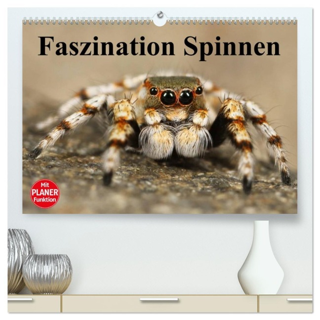 Faszination Spinnen (hochwertiger Premium Wandkalender 2026 DIN A2 quer), Kunstdruck in Hochglanz - Elisabeth Stanzer