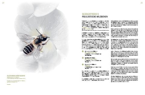 InsideView 7