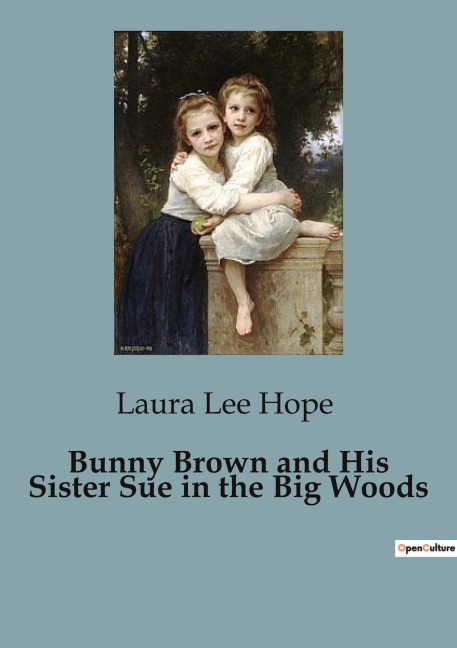 Bunny Brown and His Sister Sue in the Big Woods - Laura Lee Hope