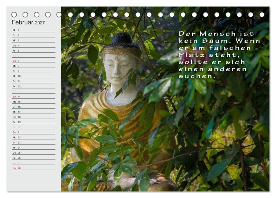 InsideView 7