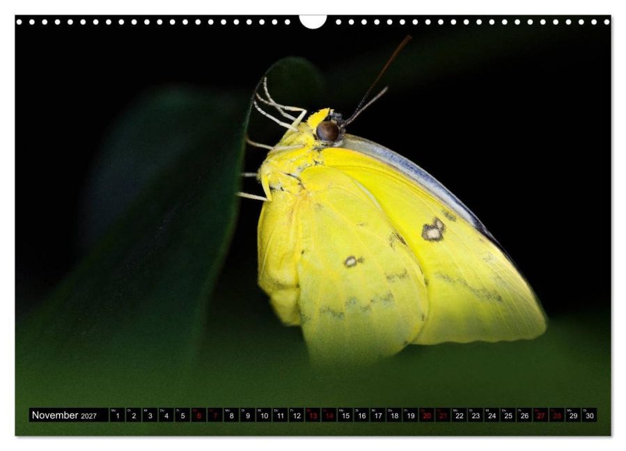 InsideView 3