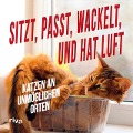 Cover-Bild zum Titel 'Sitzt, passt, wackelt und hat Luft' von ''
