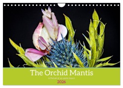 Cover-Bild zum Titel 'The Orchid Mantis (Wall Calendar 2026 DIN A4 landscape), CALVENDO 12 Month Wall Calendar' von 'Roland Brack'