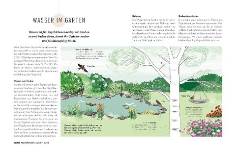 InsideView 6