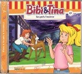 Cover-Bild zum Titel 'Folge 87:Das groáe Unwetter' von 'Bibi & Tina'