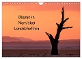 Bäume in Namibias Landschaften (Wandkalender 2024 DIN A4 quer), CALVENDO Monatskalender - Anne Berger