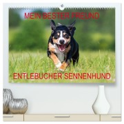 Cover-Bild zum Titel 'Mein bester Freund - Entlebucher Sennenhund (hochwertiger Premium Wandkalender 2026 DIN A2 quer), Kunstdruck in Hochglanz' von ''