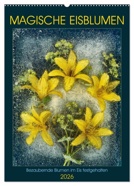 Magische Eisblumen (Wandkalender 2026 DIN A2 hoch), CALVENDO Monatskalender - Harald Richter