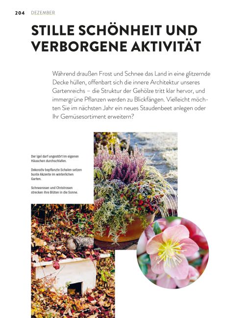 InsideView 12
