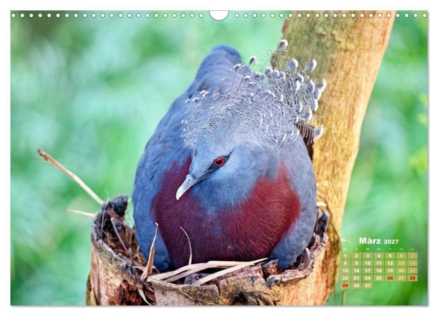 InsideView 8