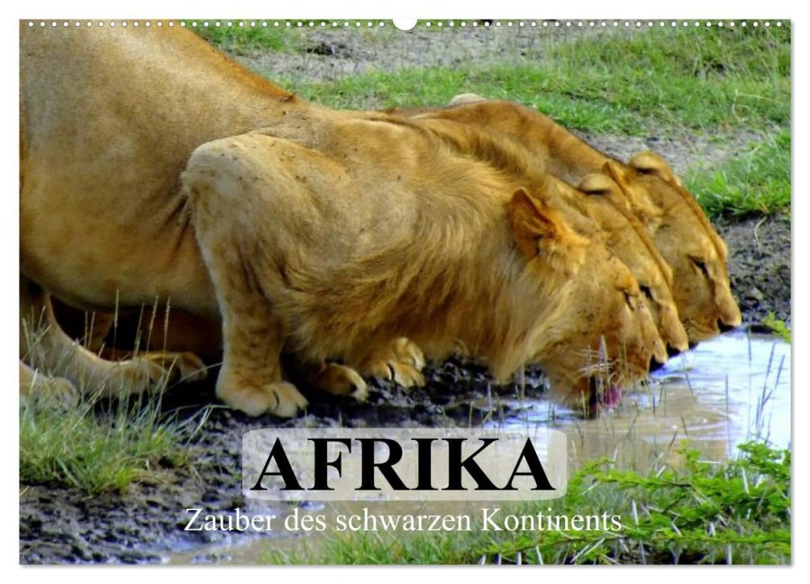 Afrika. Zauber des schwarzen Kontinents (Wandkalender 2025 DIN A2 quer), CALVENDO Monatskalender - Elisabeth Stanzer