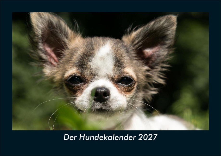 Der Hundekalender 2027 Fotokalender DIN A5 - Tobias Schmitt, Kevin Heber