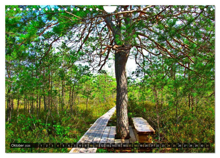 InsideView 2