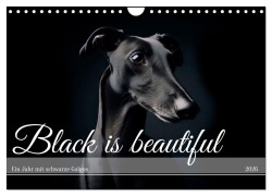 Cover-Bild zum Titel 'Black is beautiful (Wandkalender 2026 DIN A4 quer), CALVENDO Monatskalender' von 'Andrea Redecker'