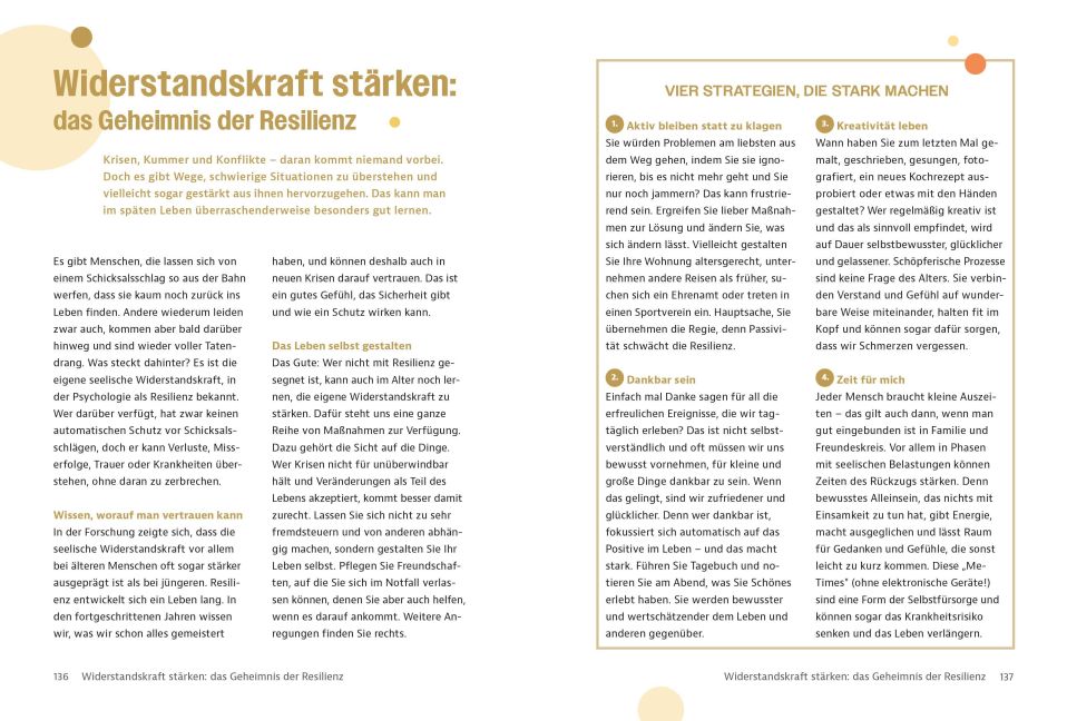 InsideView 6