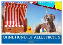 Ohne Hund ist alles nichts - Mit unseren besten Freunden durch das Jahr (Wandkalender 2026 DIN A4 quer), CALVENDO Monatskalender - Sigrid Starick