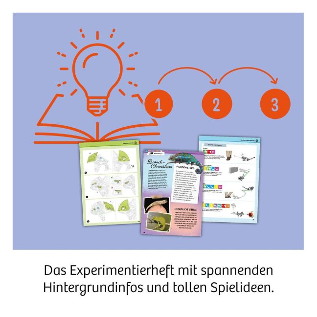 InsideView 5