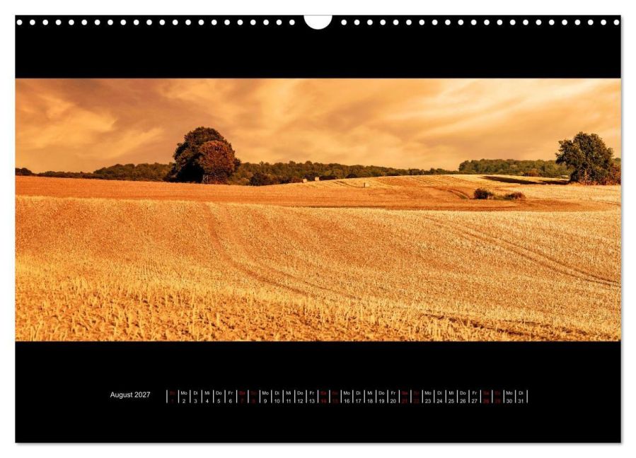 InsideView 13