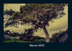 Cover-Bild zum Titel 'Bäume 2025 Fotokalender DIN A4' von 'Tobias Becker'