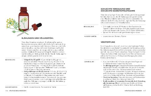 InsideView 6