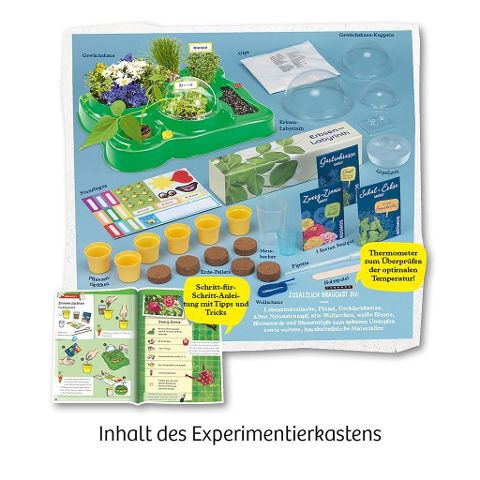 InsideView 2