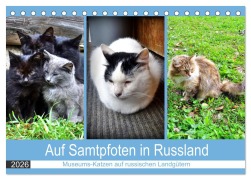 Auf Samtpfoten in Russland - Museums-Katzen auf russischen Landgütern (Tischkalender 2026 DIN A5 quer), CALVENDO Monatskalender - Henning von Löwis of Menar