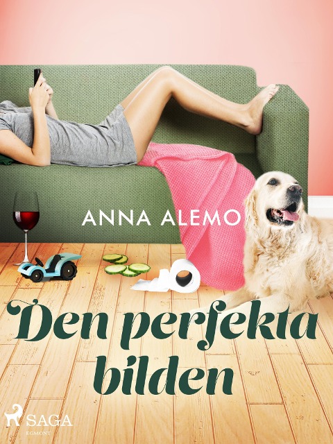Den perfekta bilden - Anna Alemo