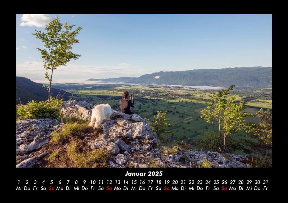 InsideView 5