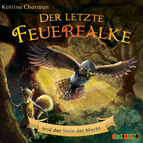 Der letzte Feuerfalke und der Stein der Macht - Katrina Charman