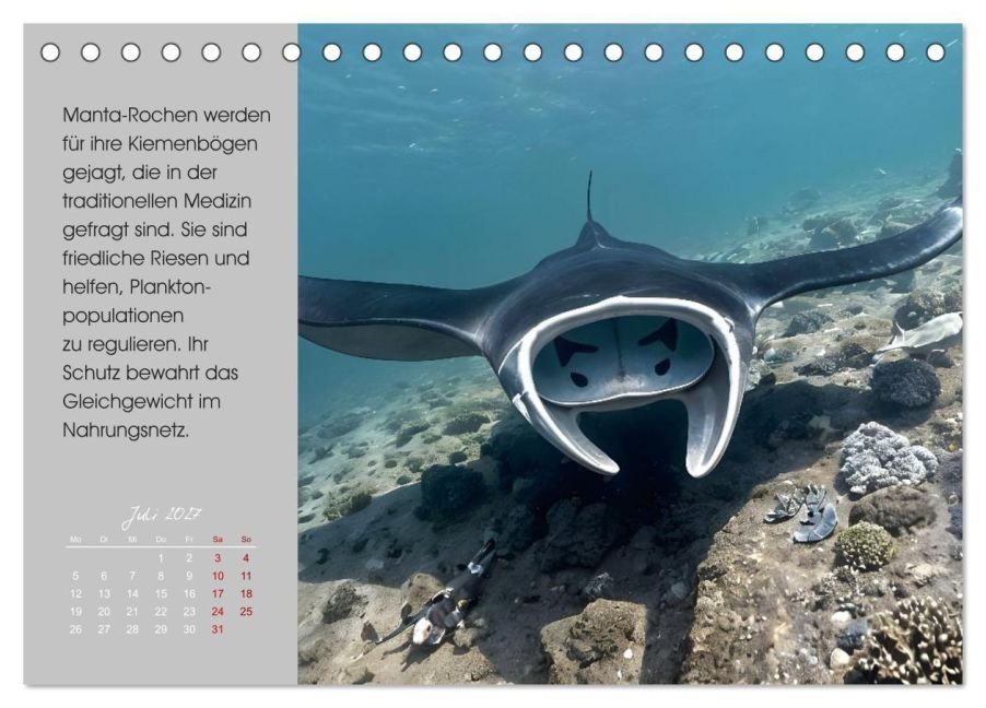 InsideView 12