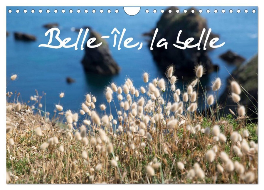 Belle-Île, la belle (Calendrier mural 2026 DIN A4 vertical), CALVENDO calendrier mensuel - Laurence Le Goffic