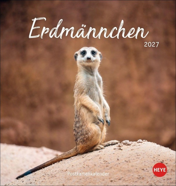 Erdmännchen Postkartenkalender 2027 - 