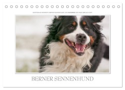 Emotionale Momente: Berner Sennenhund. (Tischkalender 2026 DIN A5 quer), CALVENDO Monatskalender - Ingo Gerlach GDT