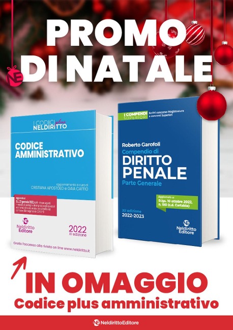40 pareri e atti. Penale. Ideale per orale rafforzato - 
