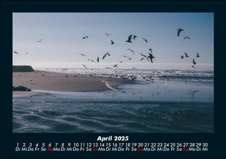 InsideView 8