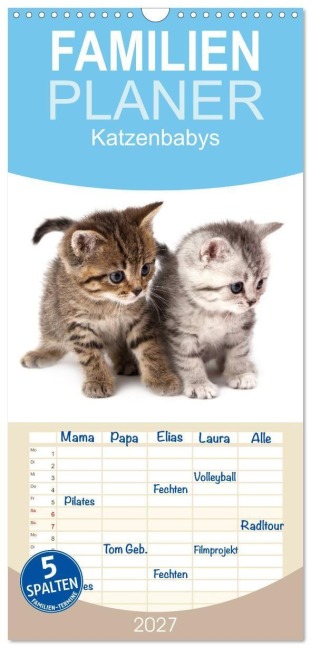 Familienplaner 2027 - Katzenbabys mit 5 Spalten (Wandkalender, 21 x 45 cm) CALVENDO - Hesch-Foto