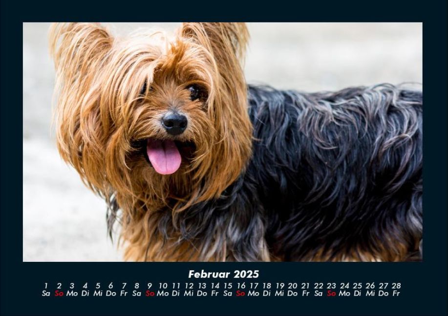 InsideView 6