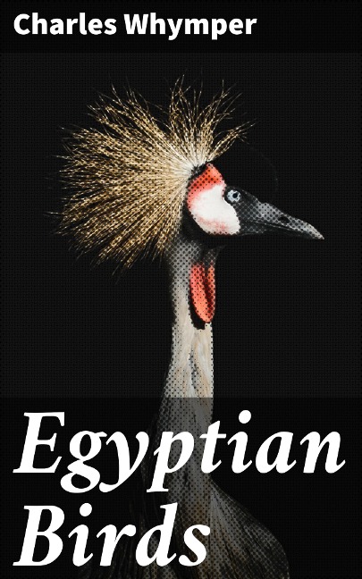 Egyptian Birds - Charles Whymper
