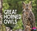 Great Horned Owls - 